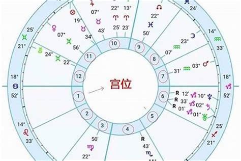 上升處女長相|運勢看上升，上升星座的意思與概念：12種上升星座的。